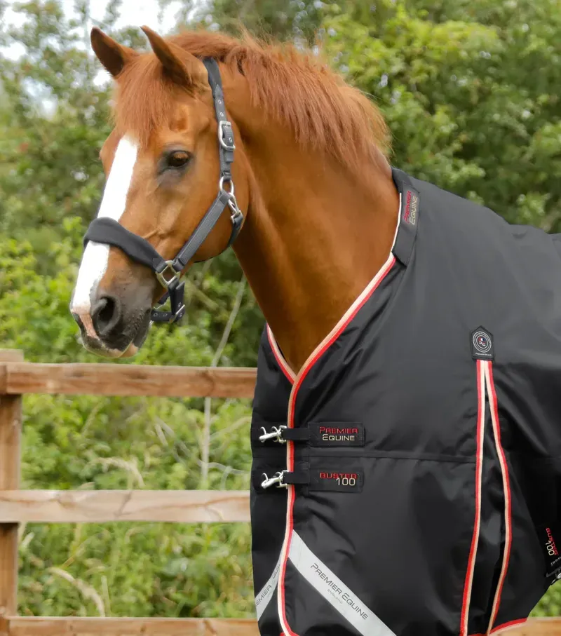 Premier Equine Buster 100g Turnout Rug With Snug-Fit Neck Cover - Black-1