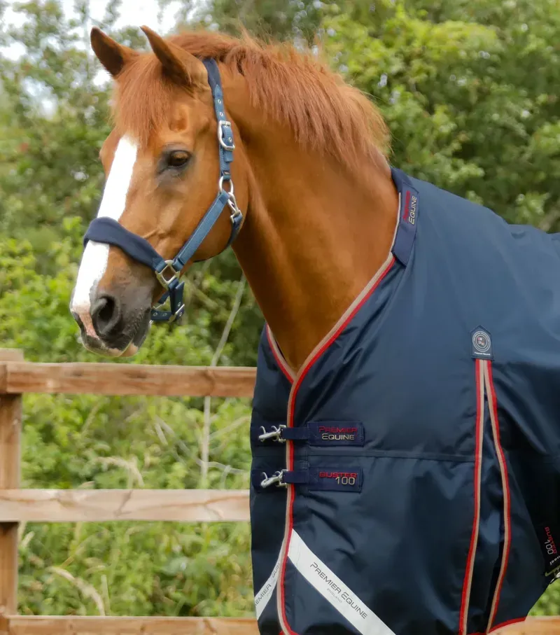 Premier Equine Buster 100g Turnout Rug With Snug-Fit Neck Cover - Navy-1