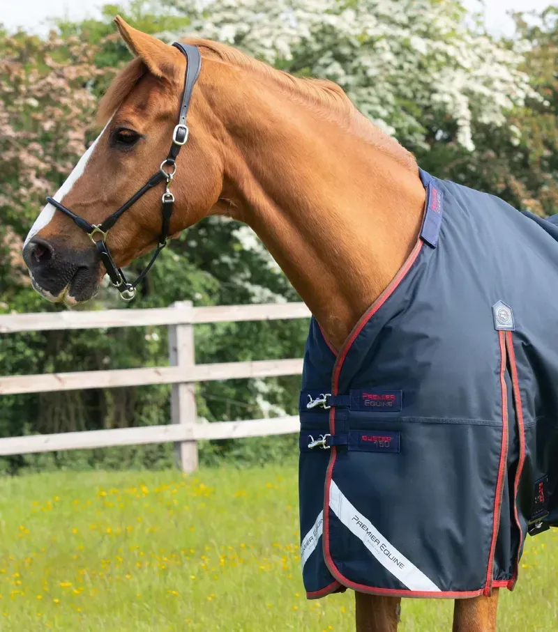 Premier Equine Buster 150g Turnout Rug With Classic Neck Cover - Navy-2