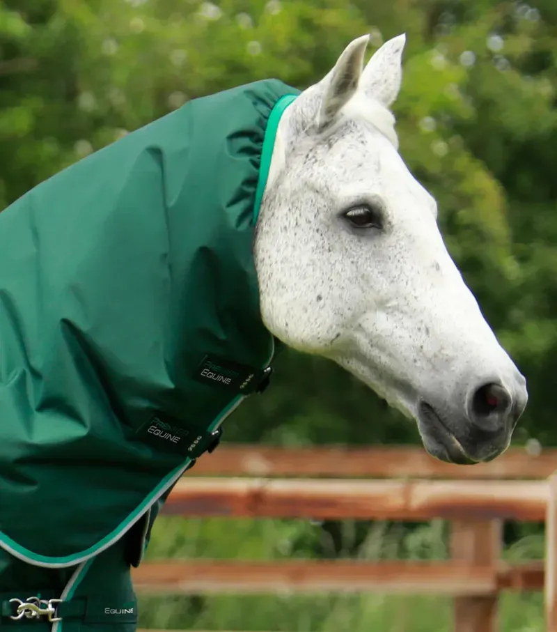 Premier Equine Buster 200g Turnout Rug With Snug-Fit Neck Cover - Green-1