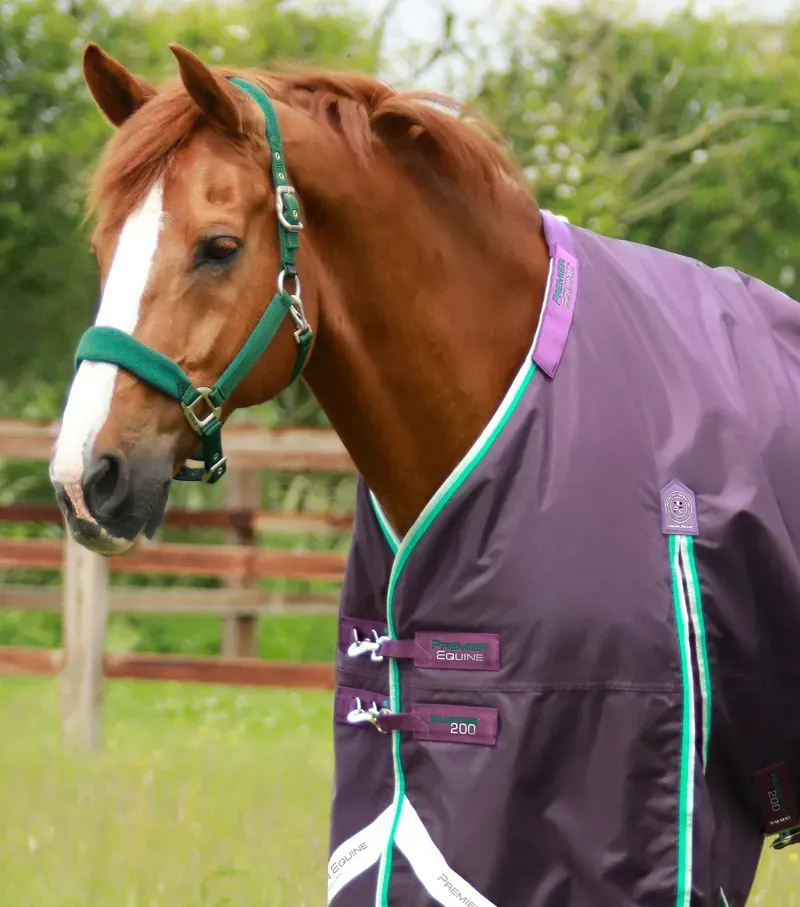 Premier Equine Buster 200g Turnout Rug With Snug-Fit Neck Cover - Purple-1