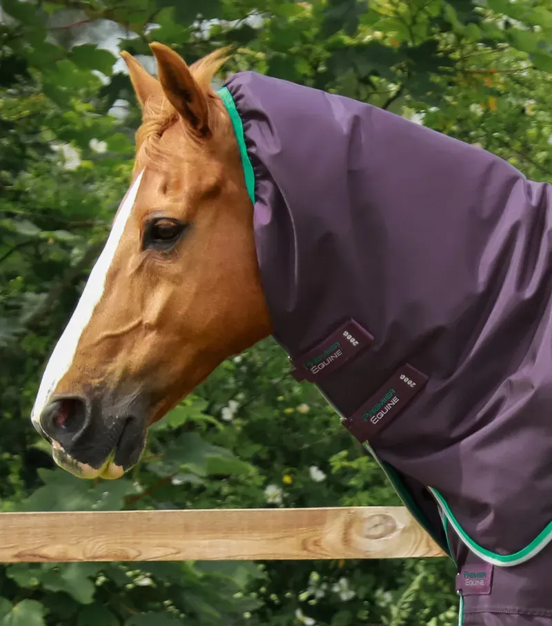 Premier Equine Buster 200g Turnout Rug With Snug-Fit Neck Cover - Purple-2
