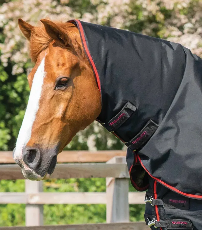 Premier Equine Buster 250g Turnout Rug With Classic Neck Cover - Black-2