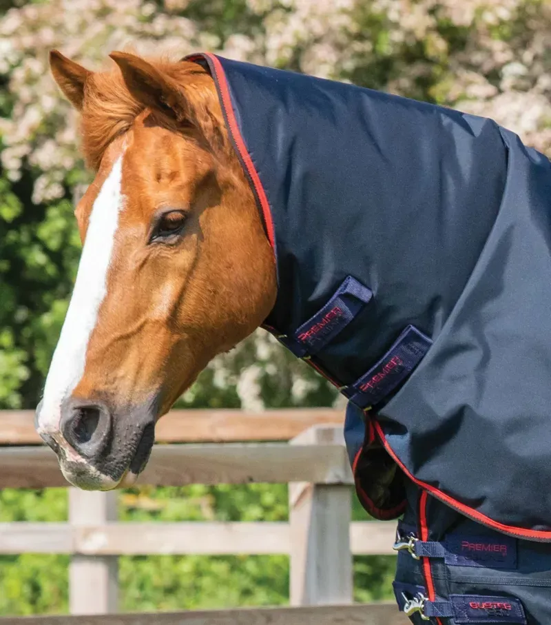 Premier Equine Buster 250g Turnout Rug With Classic Neck Cover - Navy-1