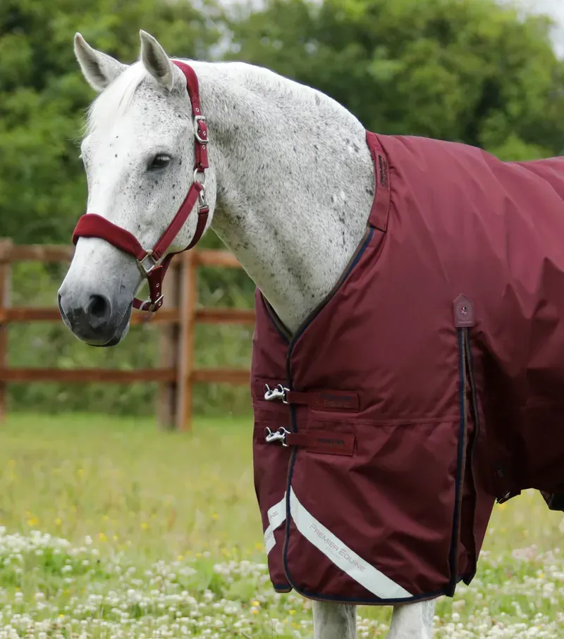 Premier Equine Buster 400g Turnout Rug With Snug-Fit Neck Cover -Burgundy-1