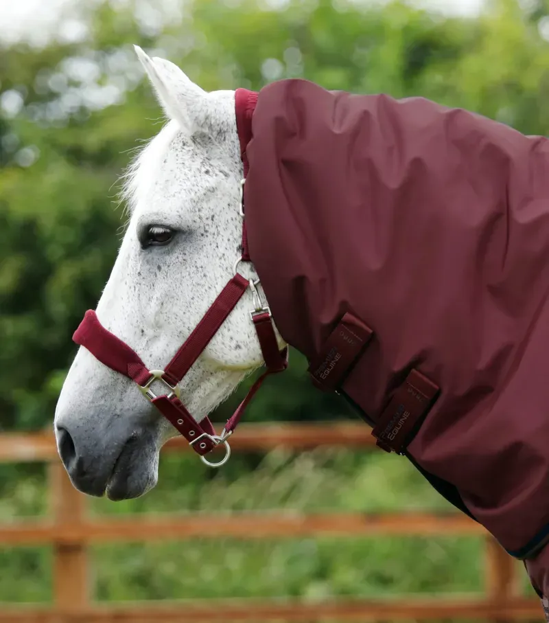 Premier Equine Buster 400g Turnout Rug With Snug-Fit Neck Cover -Burgundy-2