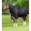Premier Equine Buster 420g Turnout Rug With Classic Neck Cover - Black