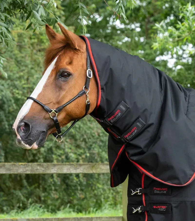 Premier Equine Buster 420g Turnout Rug With Classic Neck Cover - Black-1
