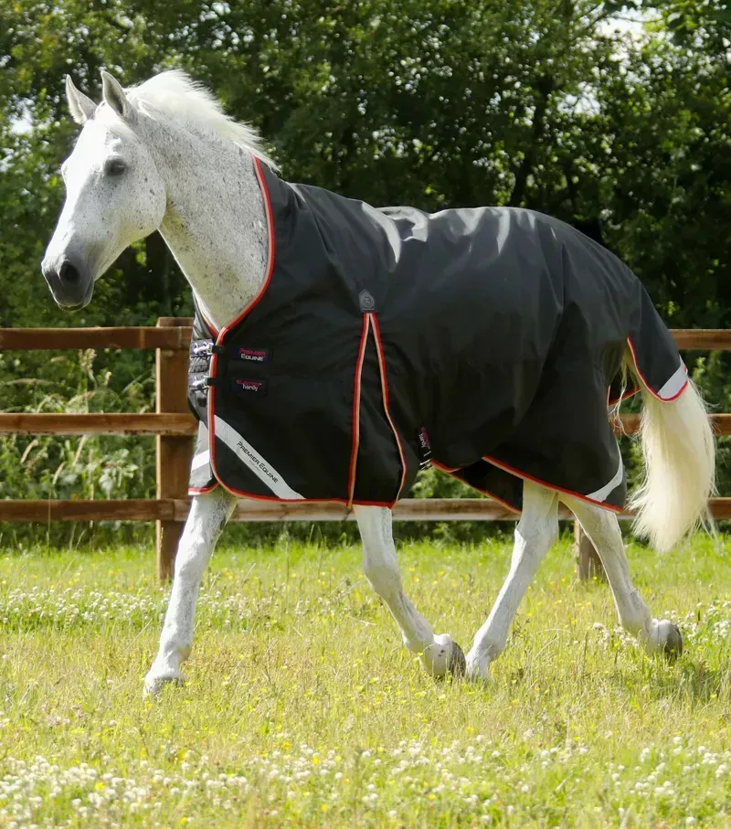 Premier Equine Buster Hardy 100g Half Neck Turnout Rug - Black