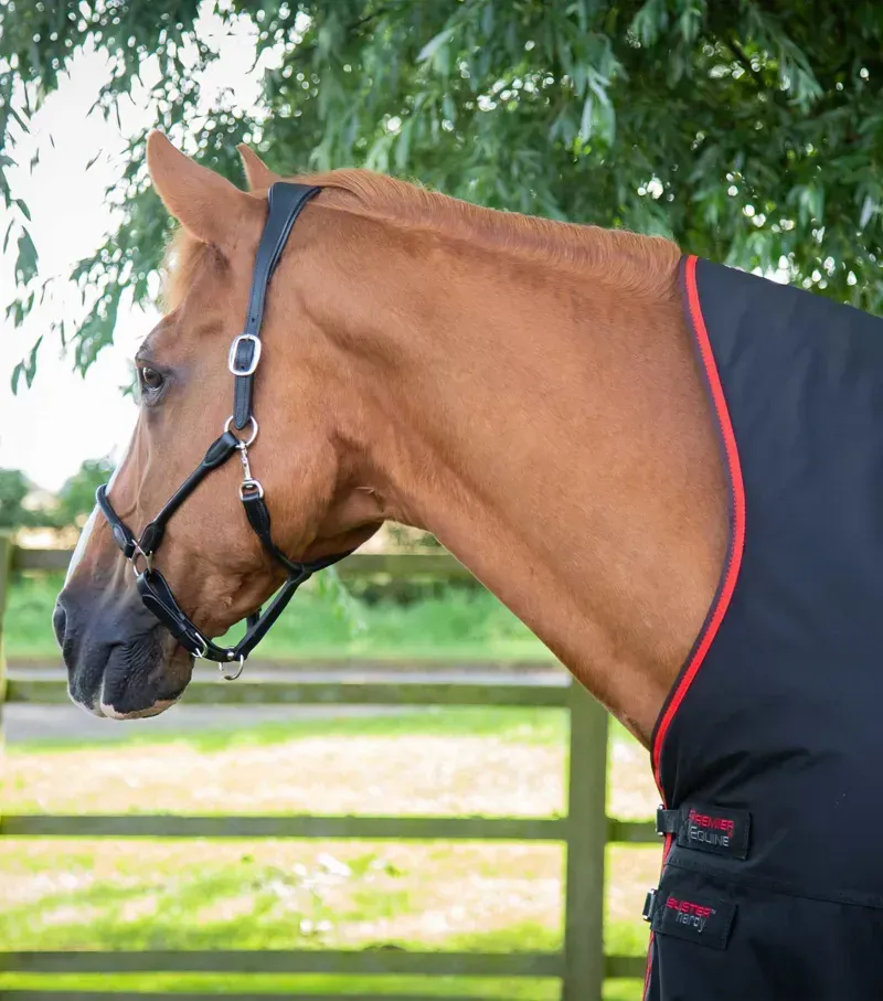 Premier Equine Buster Hardy 400g Half Neck Turnout Rug - Black-1