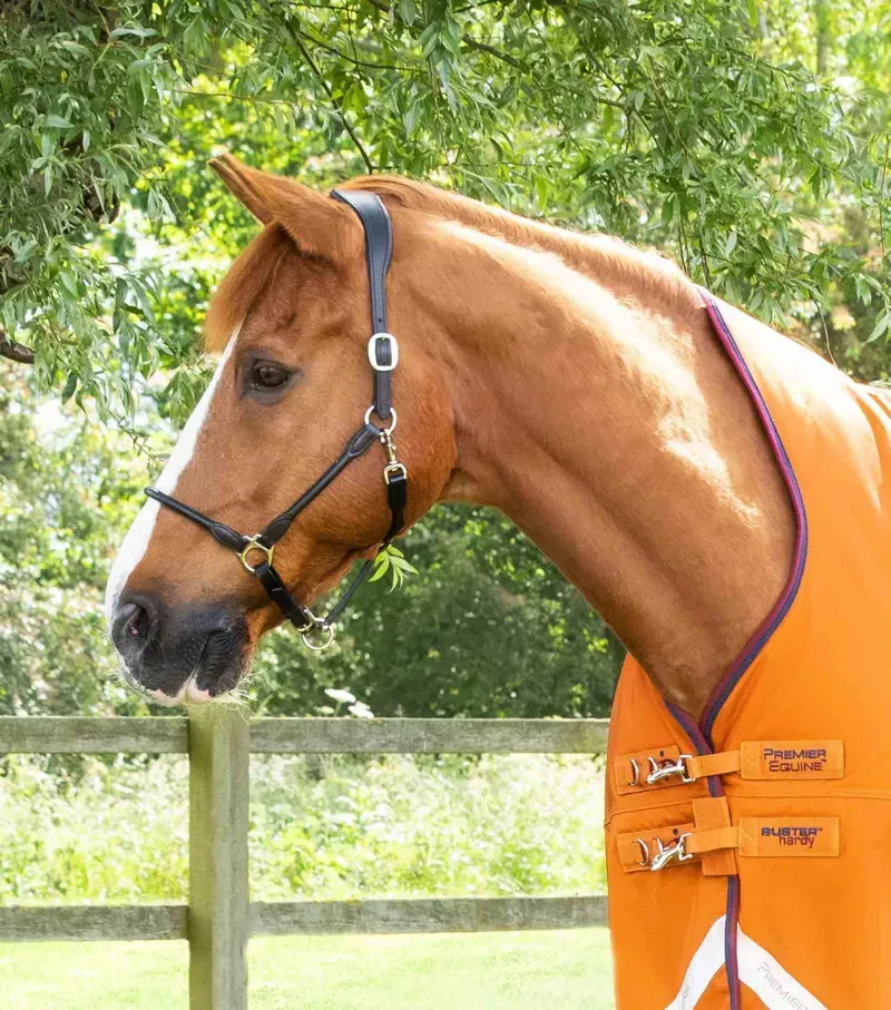 Premier Equine Buster Hardy 200g Half Neck Turnout Rug - Burnt Orange-1