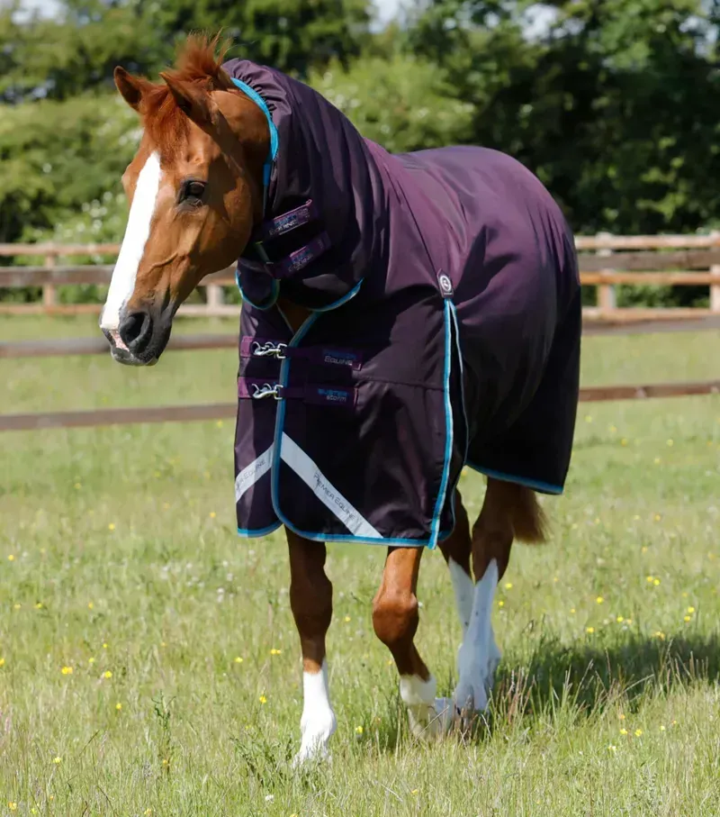 Premier Equine Buster Storm 100g Combo Turnout Rug With Snug-Fit Neck - Purple