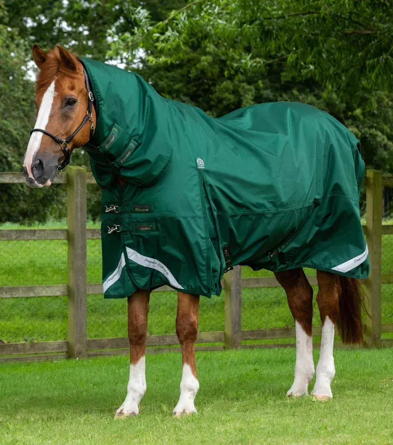 Premier Equine Buster Storm 220g Combo Turnout Rug With Classic Neck - Green