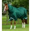 Premier Equine Buster Storm 220g Combo Turnout Rug With Classic Neck - Green