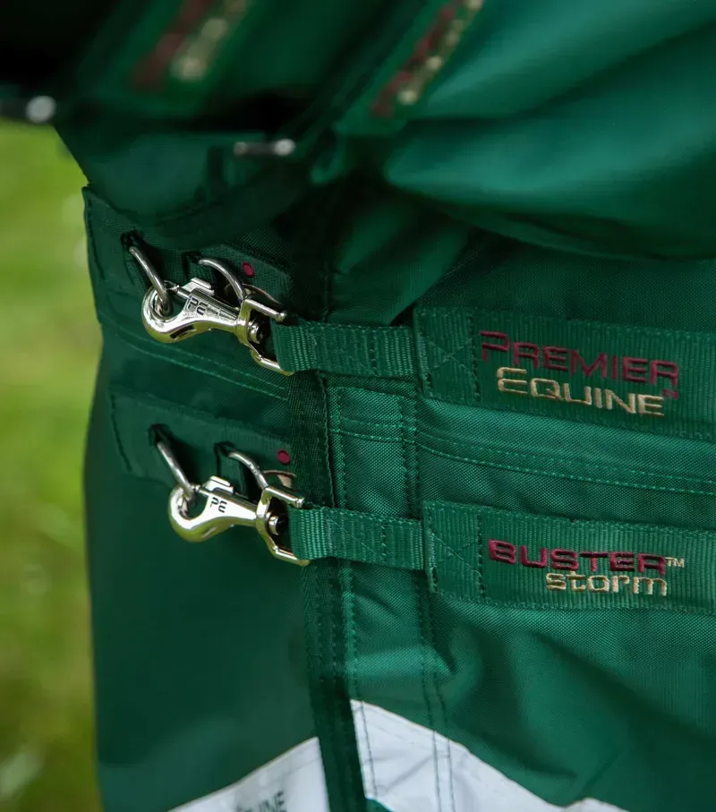 Premier Equine Buster Storm 220g Combo Turnout Rug With Classic Neck - Green-1