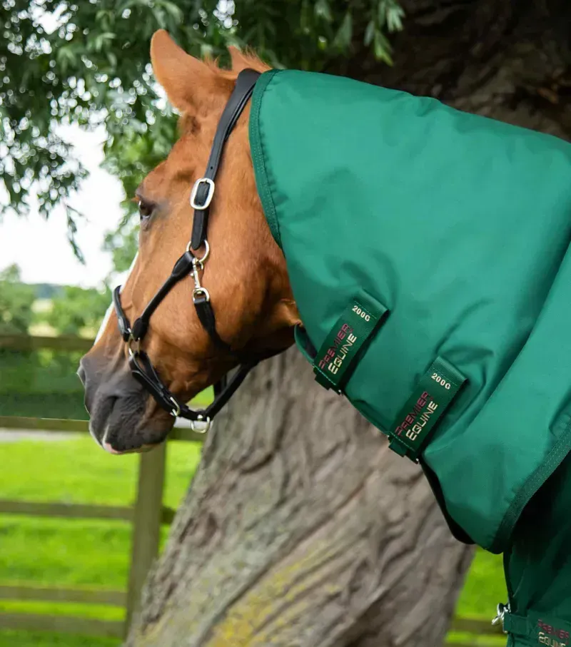 Premier Equine Buster Storm 220g Combo Turnout Rug With Classic Neck - Green-3