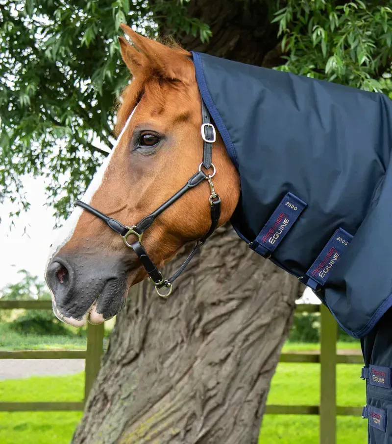 Premier Equine Buster Storm 220g Combo Turnout Rug With Classic Neck - Navy-1