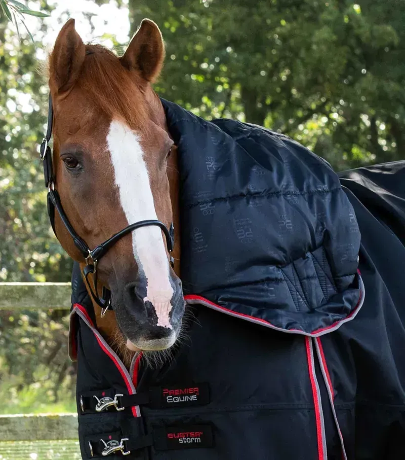 Premier Equine Buster Storm 400g Combo Turnout Rug With Snug-Fit Neck - Black-1