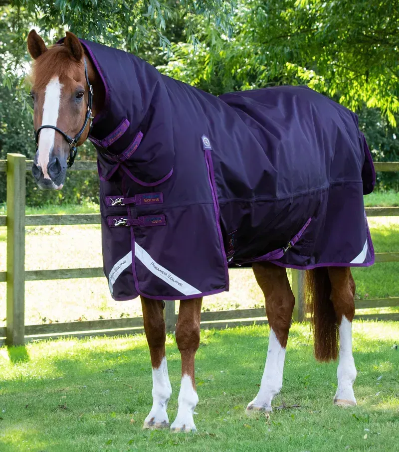 Premier Equine Buster Storm 420g Combo Turnout Rug With Classic Neck - Purple