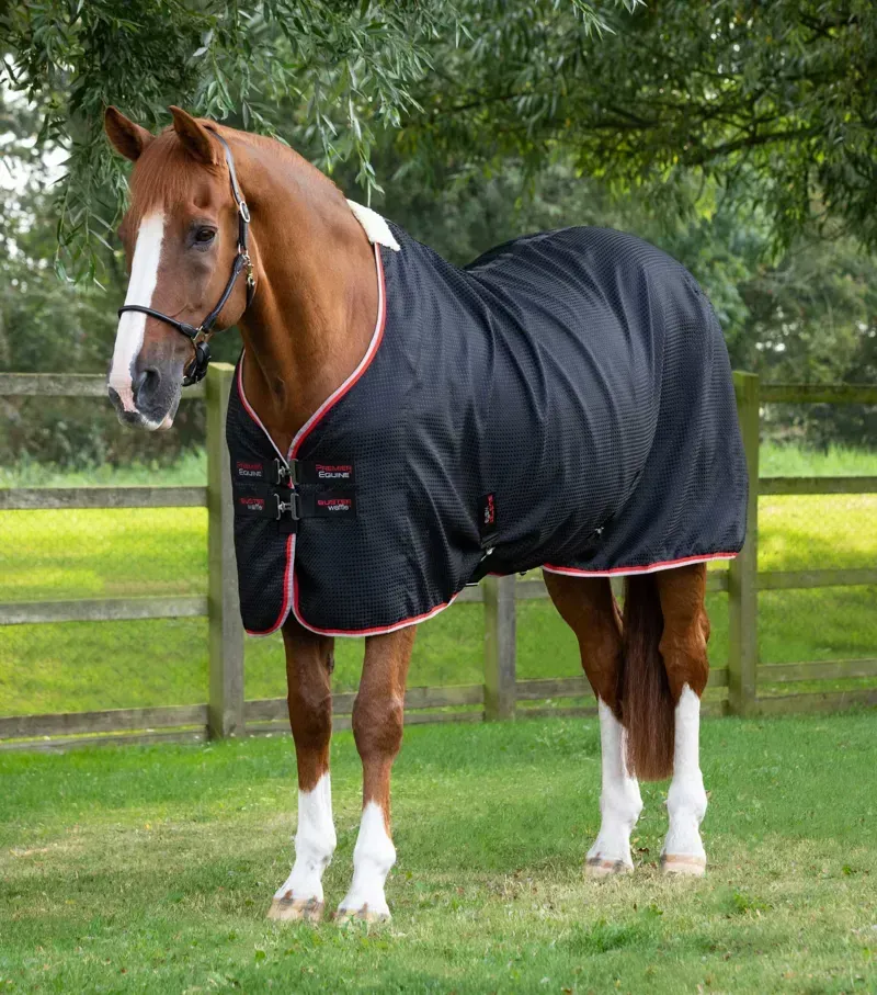 Premier Equine Buster Waffle Horse Cooler Rug - Black