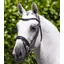 Premier Equine Cassano Snaffle Bridle - Black