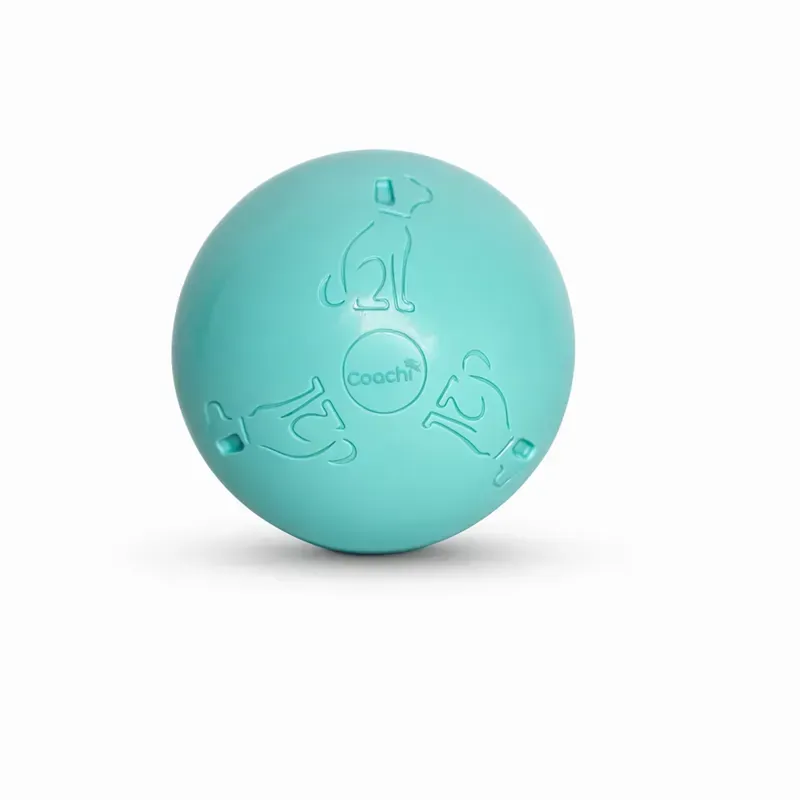 Coachi Puppy and Mini Boomi Ball 10cm - Cool Mint