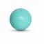 Coachi Puppy and Mini Boomi Ball 10cm - Cool Mint