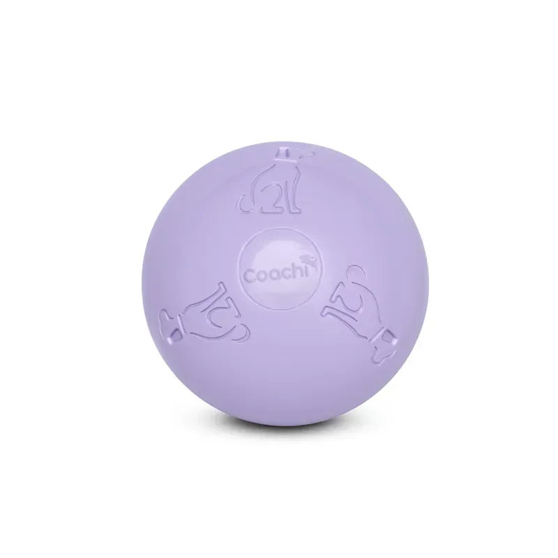 Coachi Puppy and Mini Boomi Ball 15cm - Ice Purple