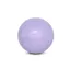 Coachi Puppy and Mini Boomi Ball 15cm - Ice Purple
