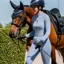 Coldstream Jedburgh Riding Tights - Maya Blue 