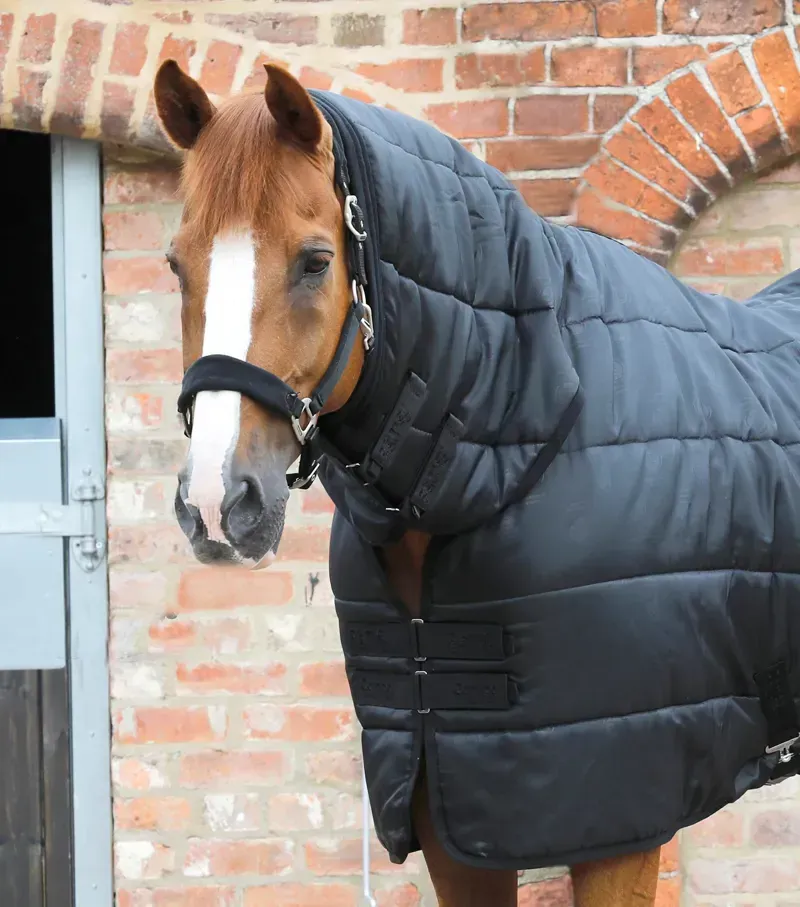 Premier Equine Combo 100g Horse Rug Liner - Black-1