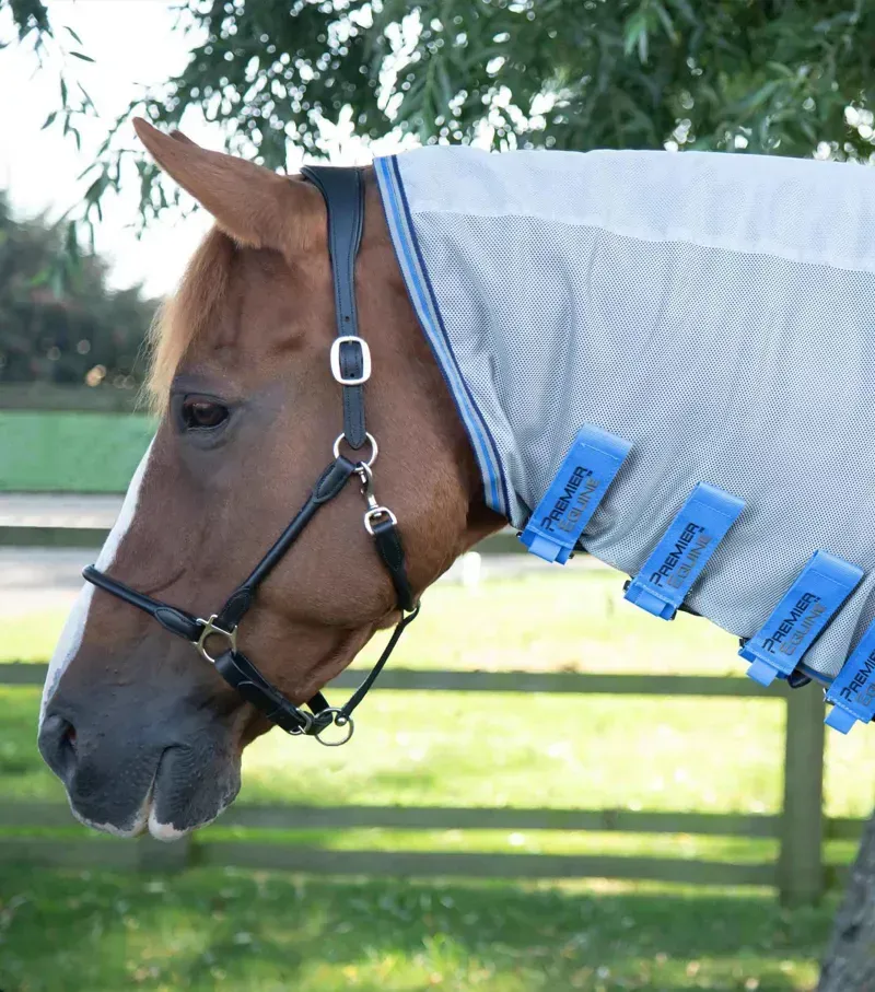 Premier Equine Combo Mesh Air Fly Rug With Surcingles - Blue-1