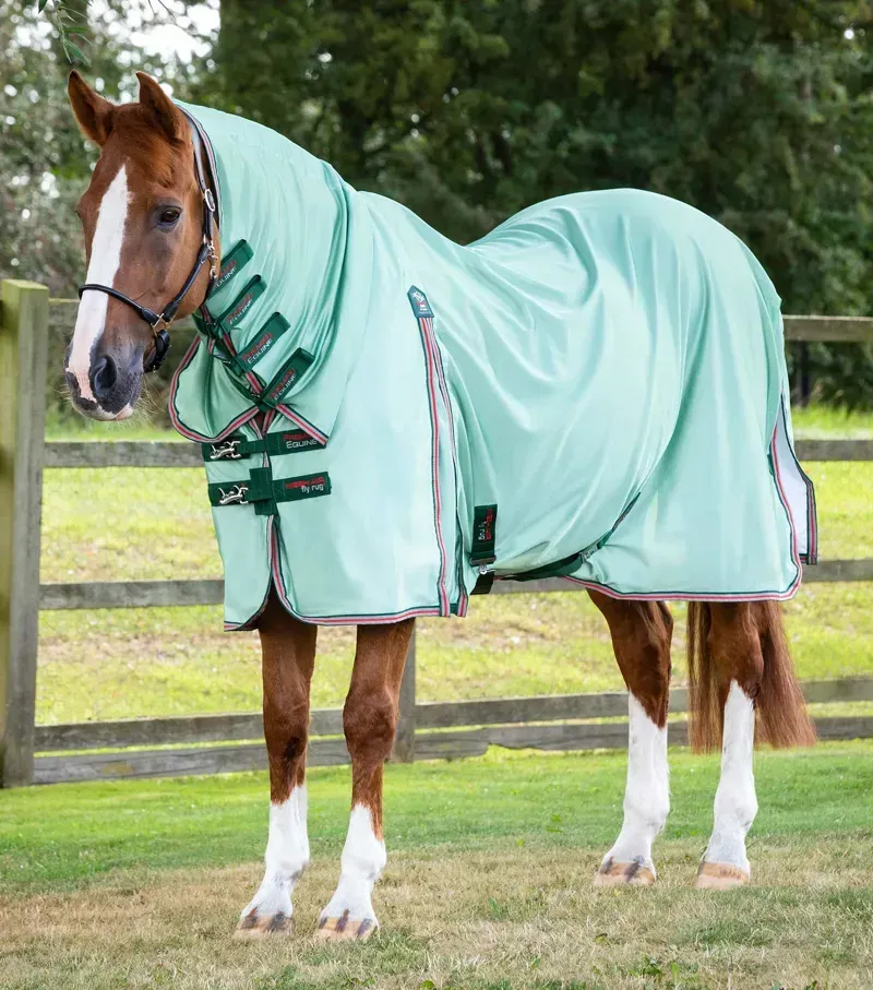 Premier Equine Combo Mesh Air Fly Rug With Surcingles - Mint Green