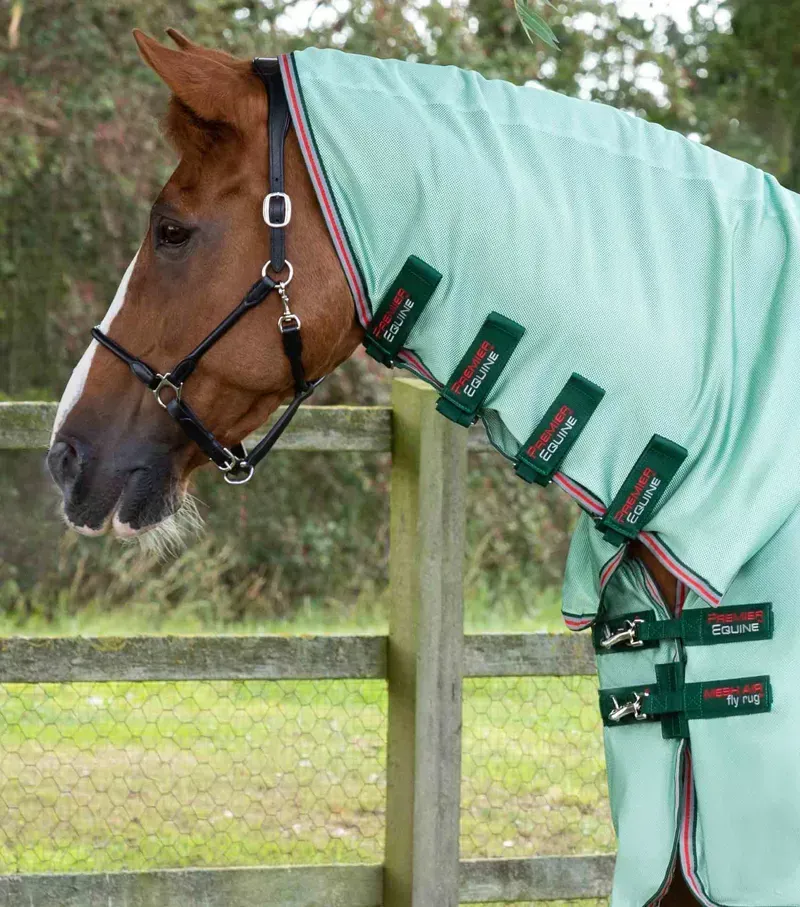 Premier Equine Combo Mesh Air Fly Rug With Surcingles - Mint Green-1