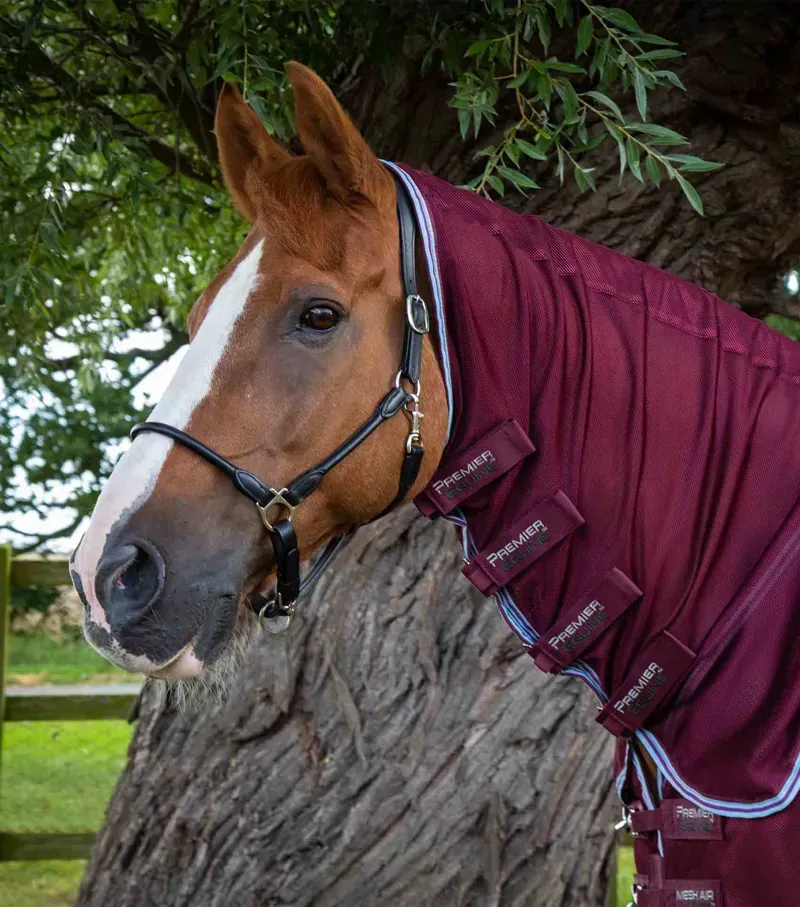 Premier Equine Combo Mesh Air Fly Rug With Surcingles - Wine-1