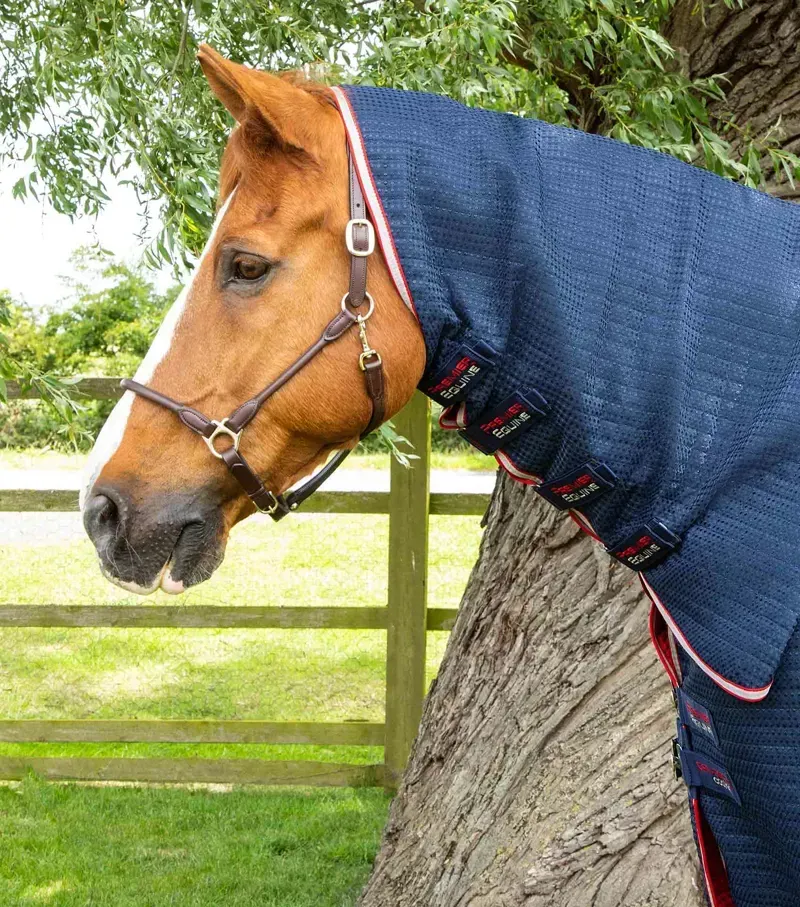 Premier Equine Combo Dry-Tech Horse Cooler Rug - Navy-1