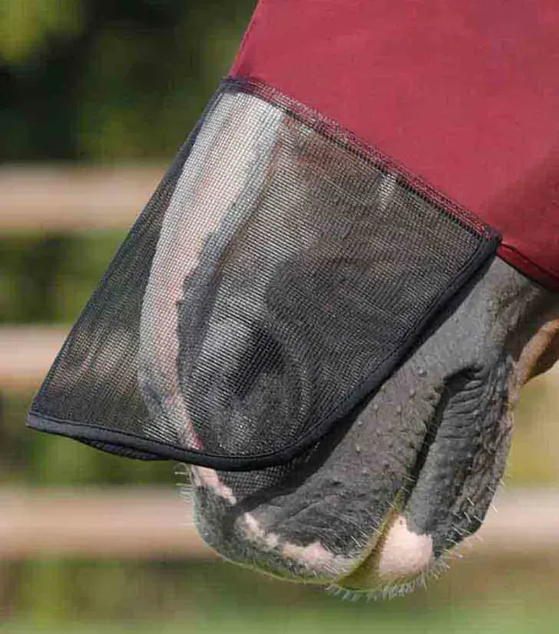 Comfort Tech Lycra Fly Mask Xtra - Wine-3
