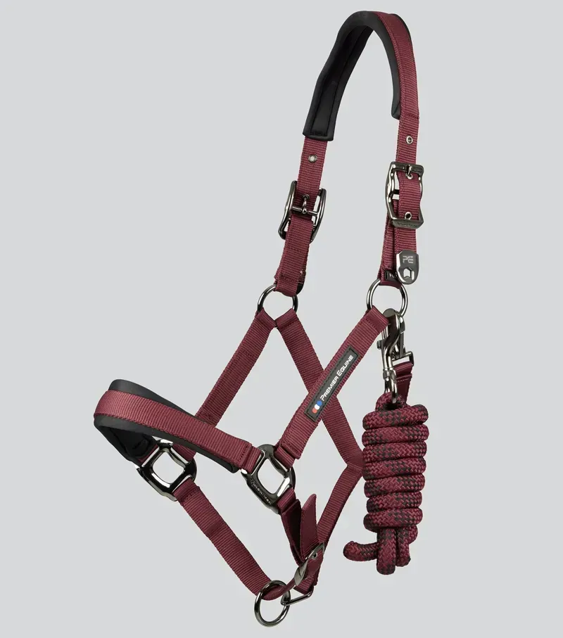 Premier Equine Corda Padded Head Collar With Lead Rope - Burgundy