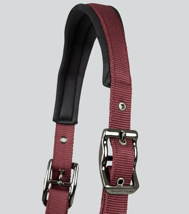 Premier Equine Corda Padded Head Collar With Lead Rope - Burgundy-2