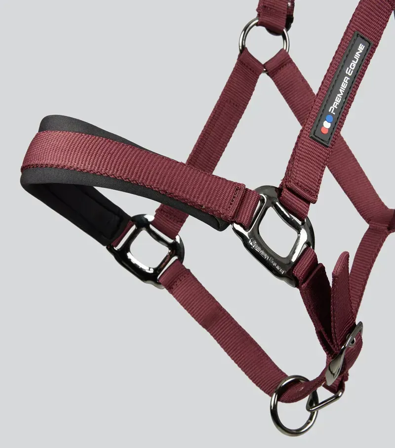 Premier Equine Corda Padded Head Collar With Lead Rope - Burgundy-4