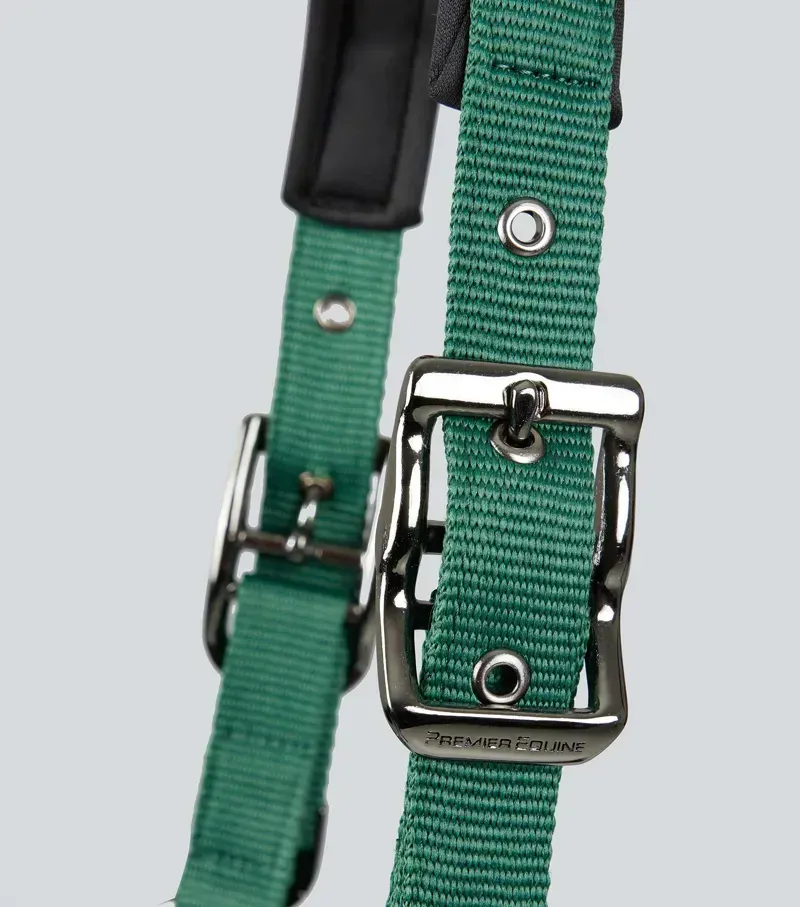 Premier Equine Corda Padded Head Collar With Lead Rope - Green-2