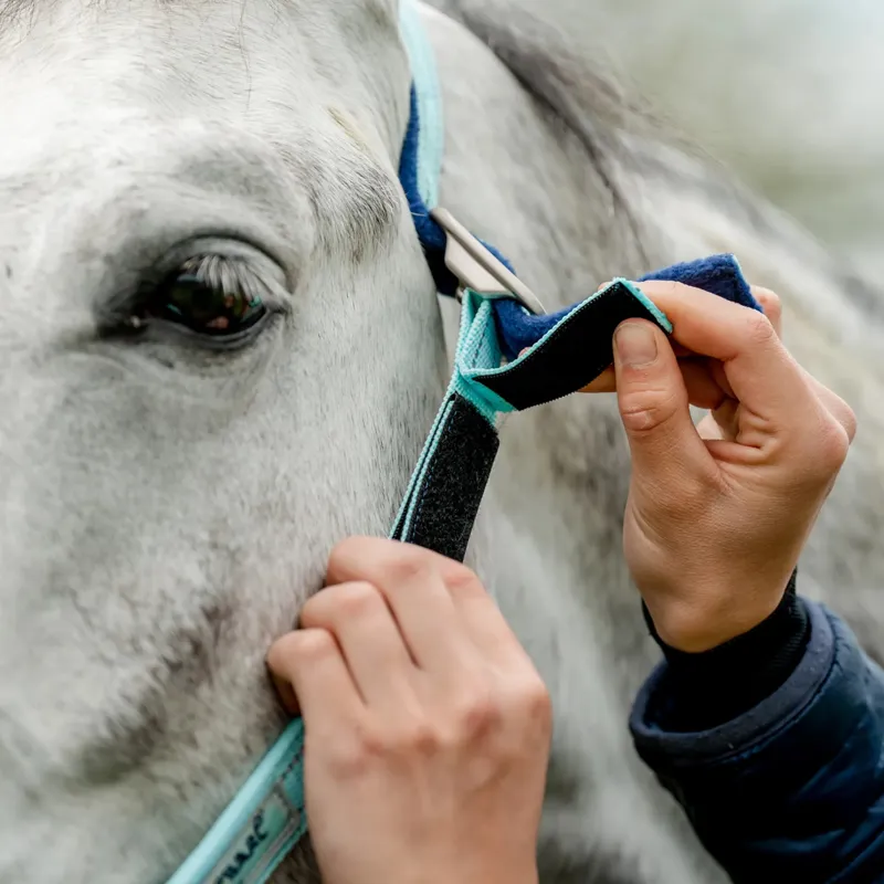 Horseware Field Safe Headcollar - Blue Haze-1