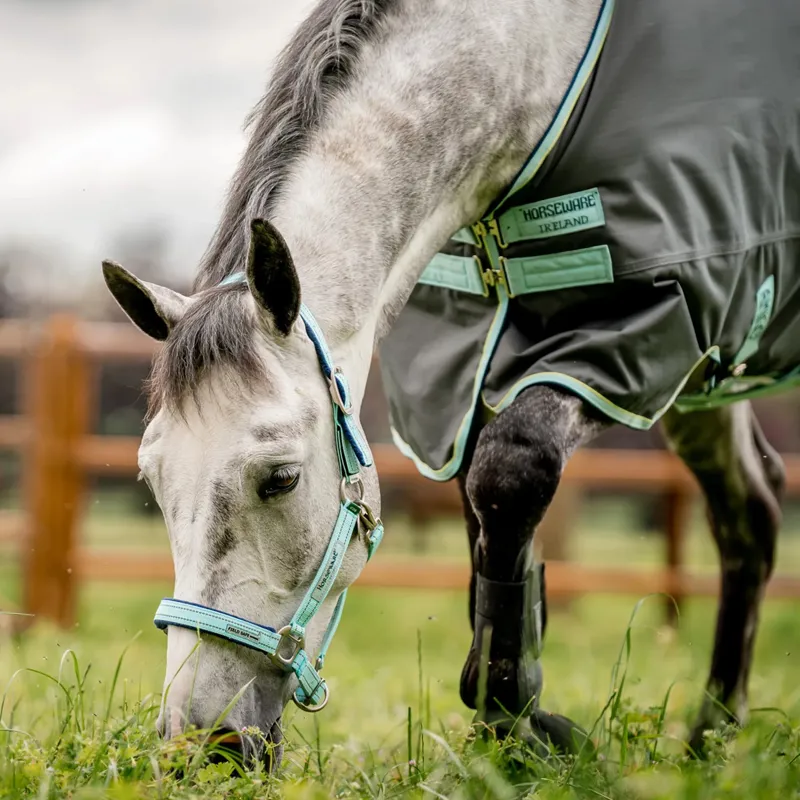 Horseware Field Safe Headcollar - Blue Haze-2
