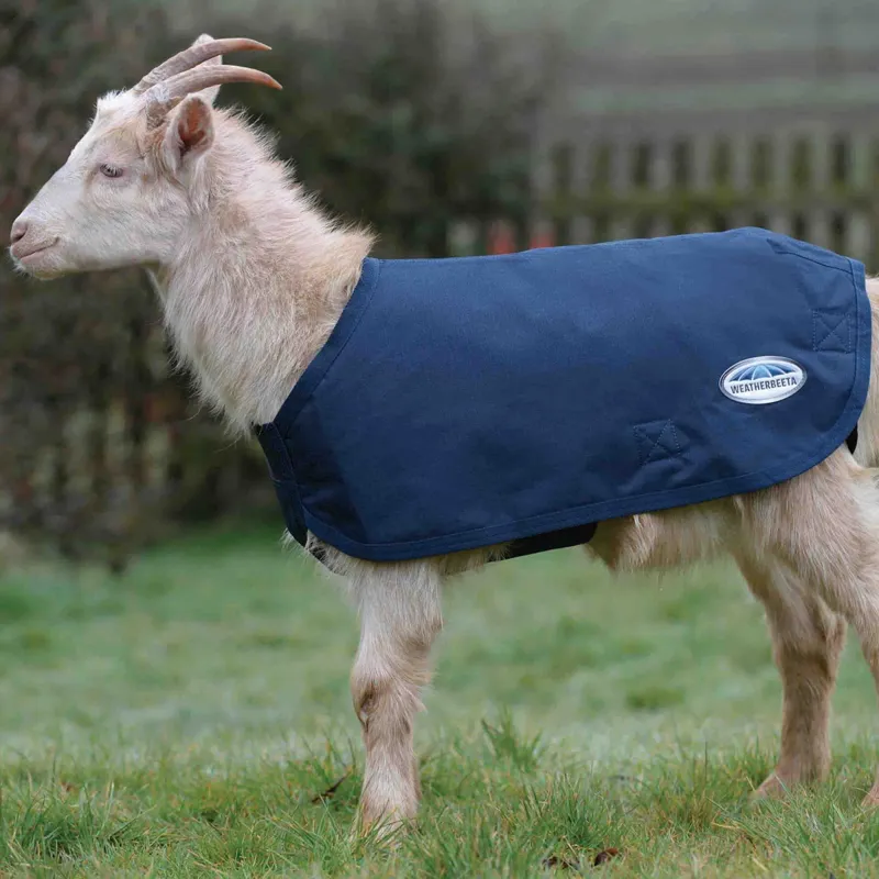 Weatherbeeta Deluxe Goat Coat - Navy