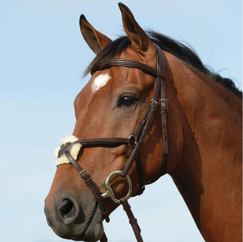 Collegiate Syntovia+ Padded Raised Figure 8 Bridle - Brown