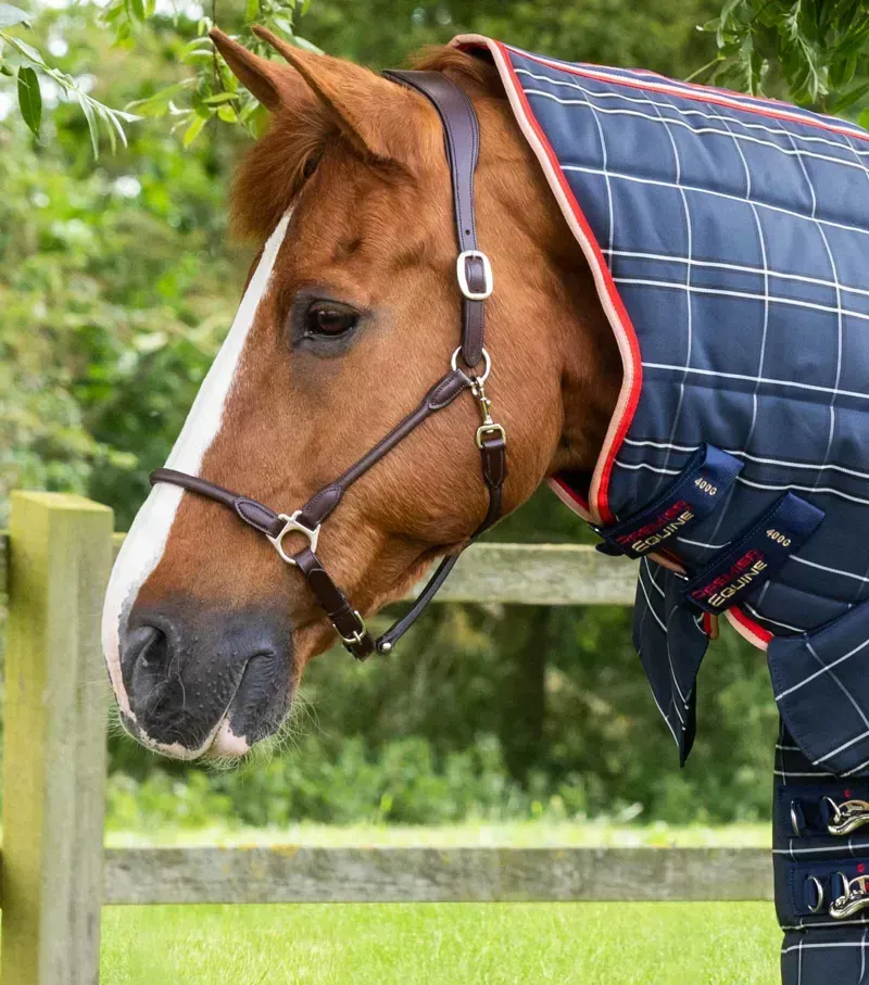 Premier Equine 400g Domus Combo Stable Rug - Navy Check-1