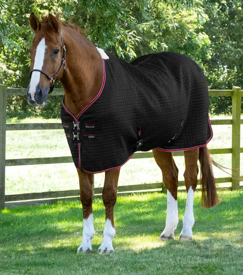 Premier Equine Dry-Tech Horse Cooler Rug - Black