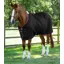 Premier Equine Dry-Tech Horse Cooler Rug - Black