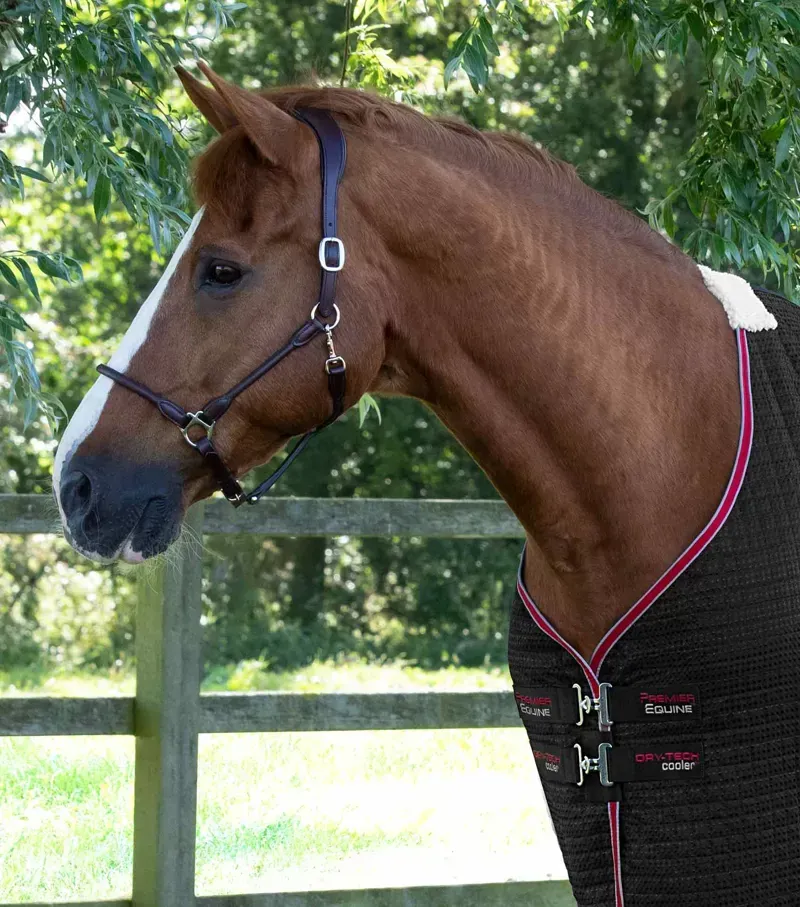 Premier Equine Dry-Tech Horse Cooler Rug - Black-1