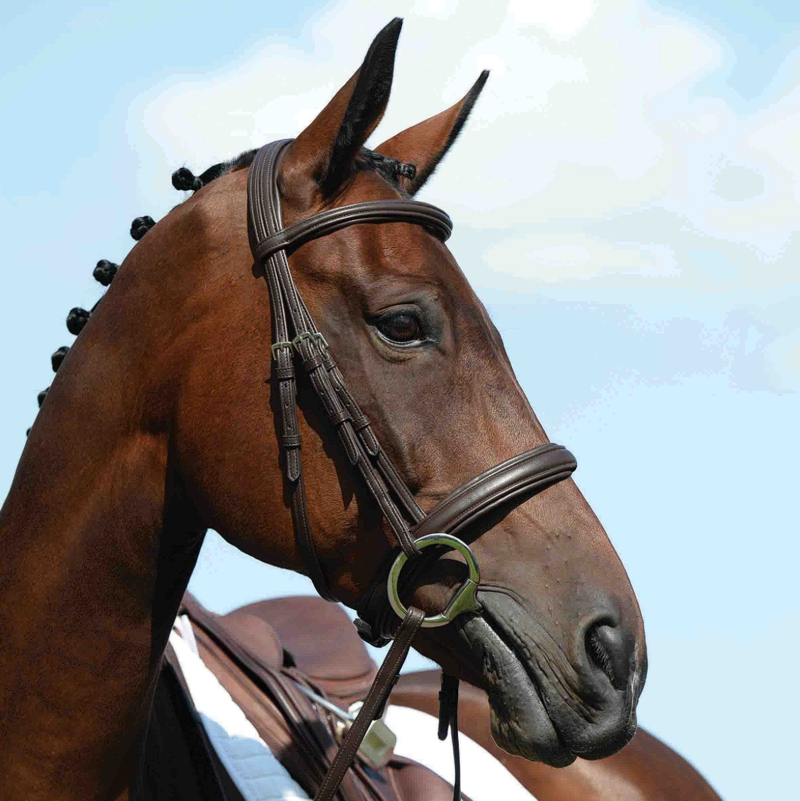 Collegiate Syntovia+ Padded Raised Cavesson Bridle - Brown
